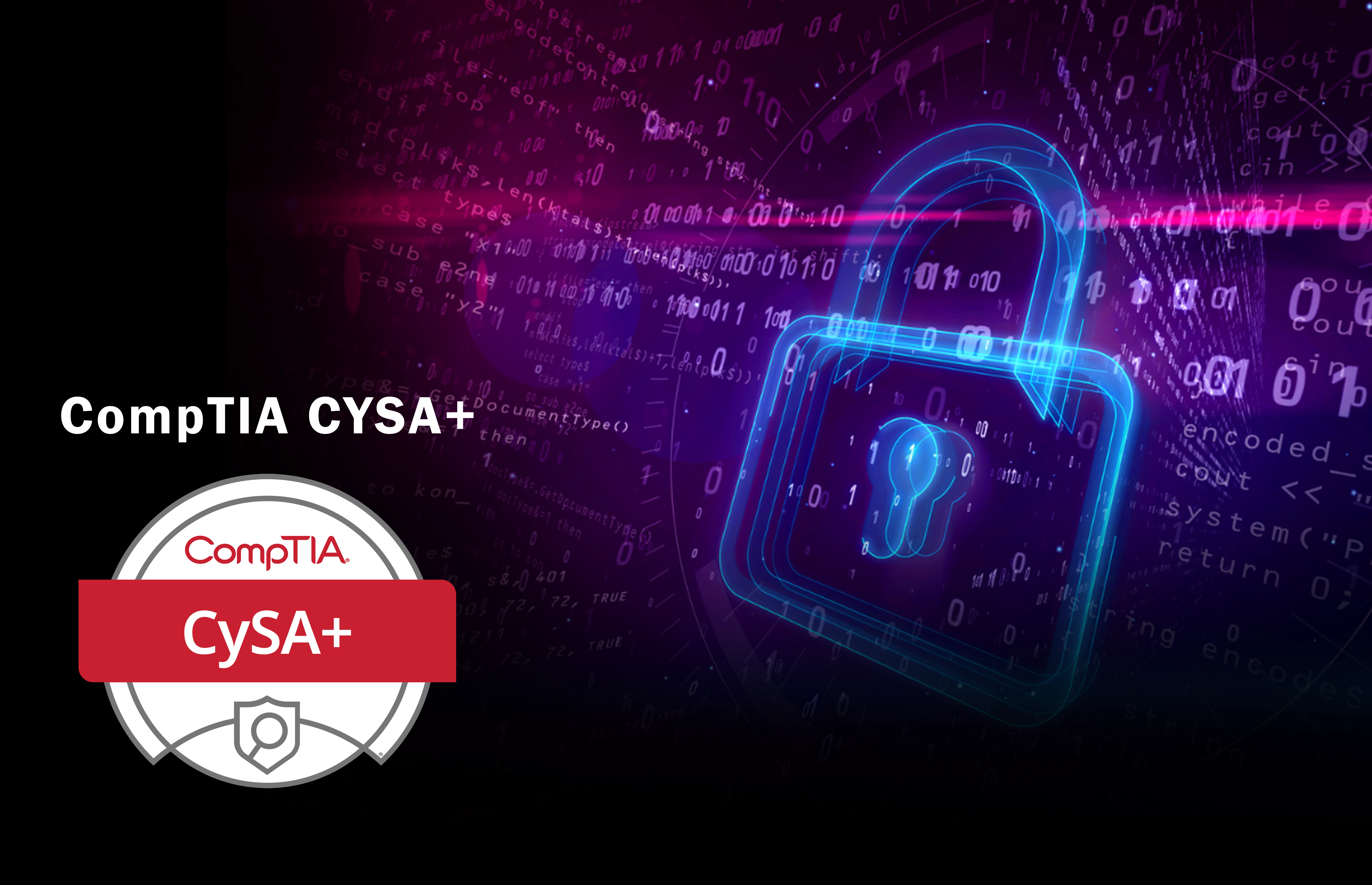 Network Penetration Testing